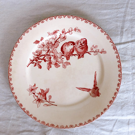 ご予約フランスアンティーク サルグミンヌ ファボリ『FAVORI』ディナープレート B ファイアンスフィーヌ フランスアンティーク食器 フランス蚤の市・ブロカント