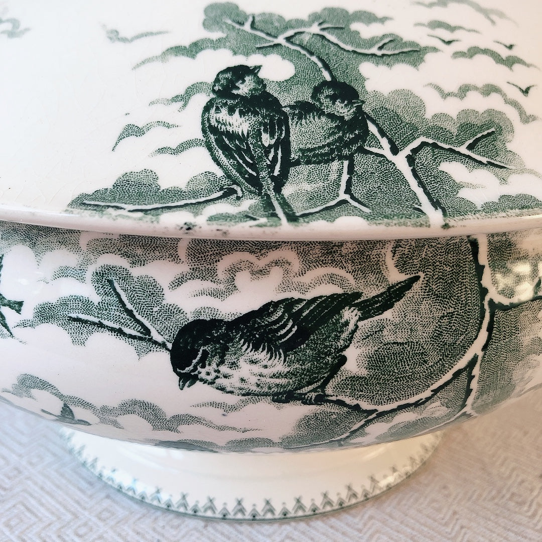 【美品】フランスアンティーク U&C sarreguemines サルグミンヌ スーピエール ”NEIGE”小鳥 フランスアンティーク食器 ブロカント 蚤の市