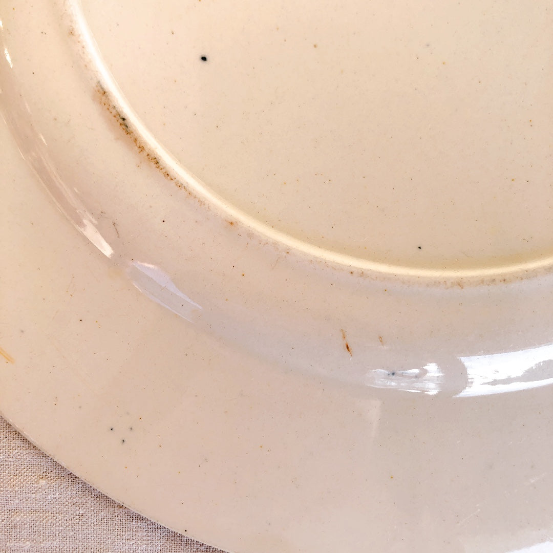 SALINS サラン 『FONTENOY』ディナープレート B フランスアンティーク食器 ブロカント 蚤の市