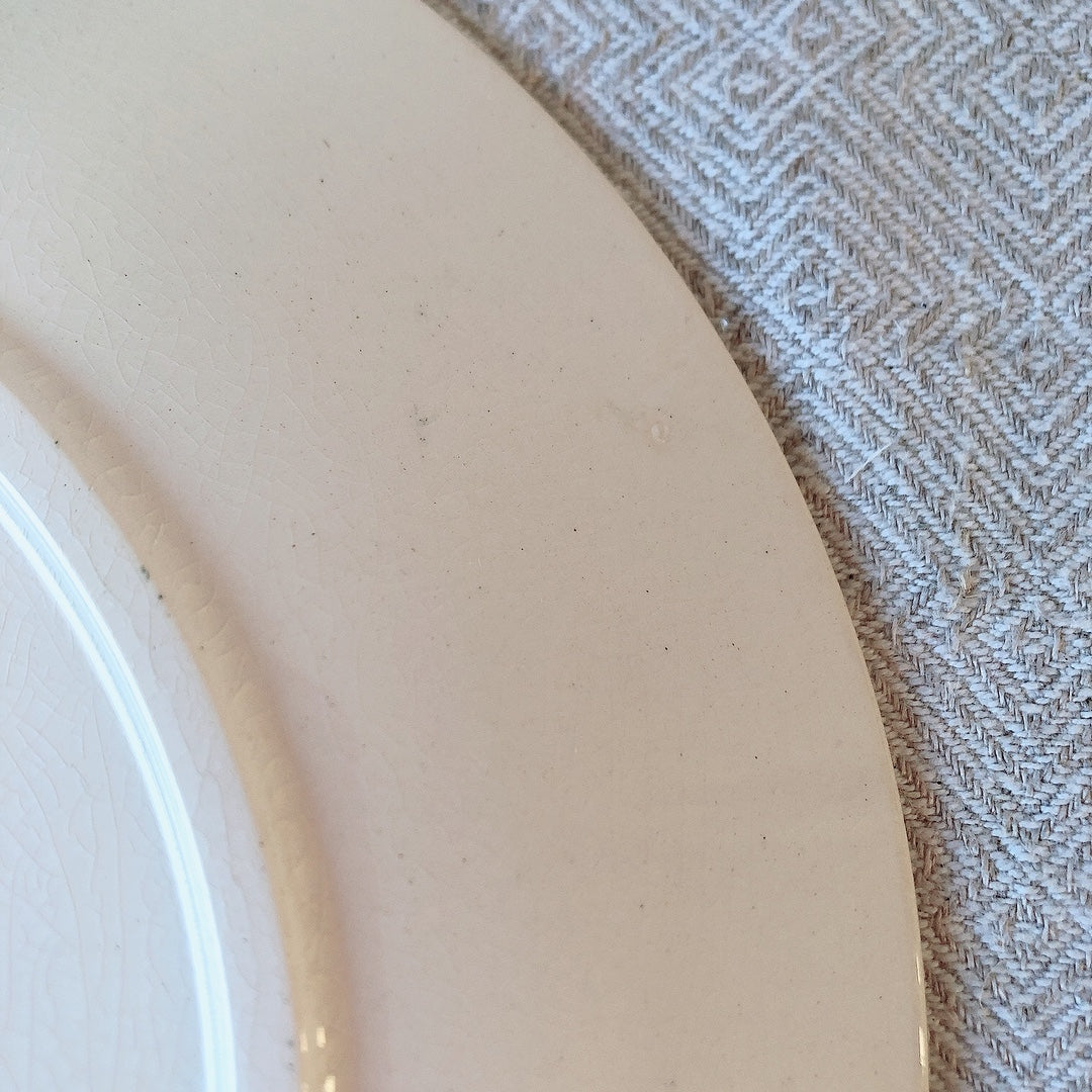 フランスアンティーク U&C sarreguemines サルグミンヌ 平皿 ”NEIGE”小鳥 A フランスアンティーク食器 ブロカント 蚤の市