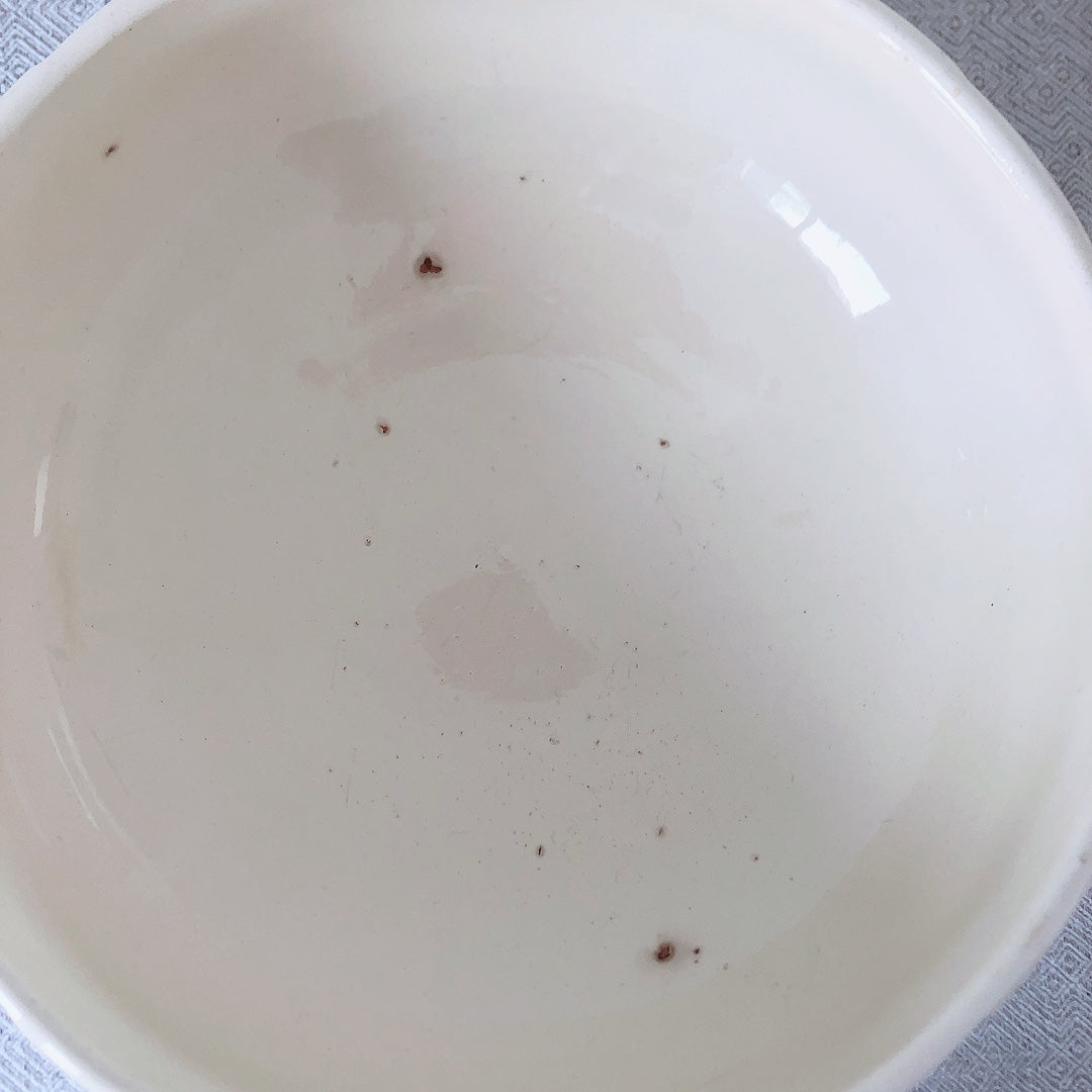 フランス ディゴワン&サルグミンヌ 花リム・サラディエ サラダボウル フランスアンティーク食器 ブロカント 蚤の市