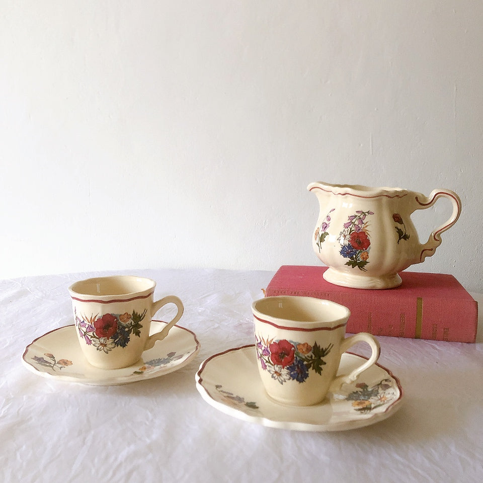 ディゴワンサルグミンヌ Digoin＆sarreguemines アグレスト コーヒーカップ＆ソーサー２客セット フランスアンティーク食器 フランス蚤の市・ブロカント