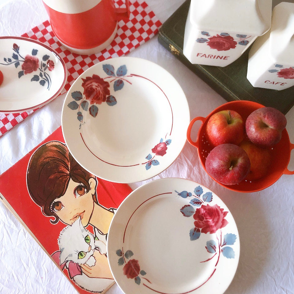 フランスアンティーク　バドンヴィレー　バラ柄スーププレート　深皿　フランスアンティーク食器 ブロカントアンティーク 蚤の市