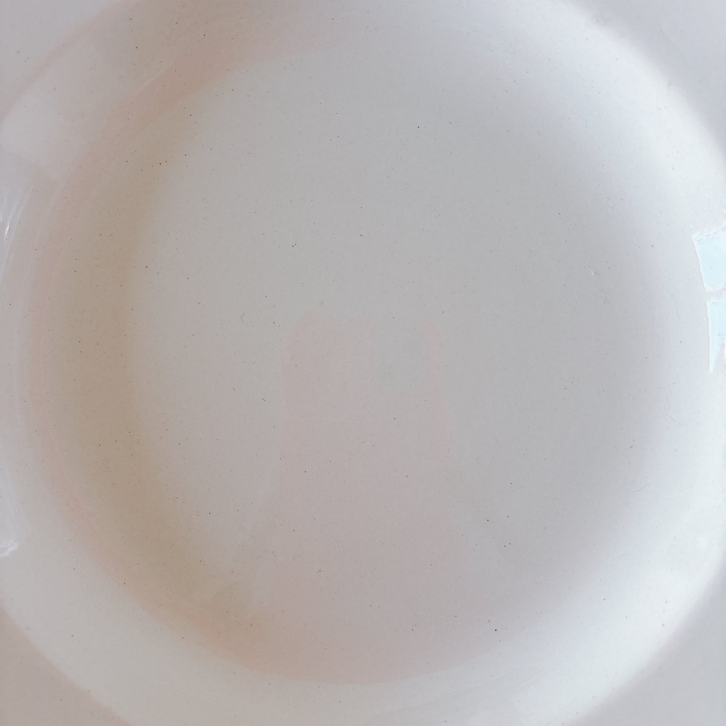 フランス ディゴワン＆サルグミンヌ 花リム スーププレート 深皿 フランスアンティーク食器 ブロカント　蚤の市