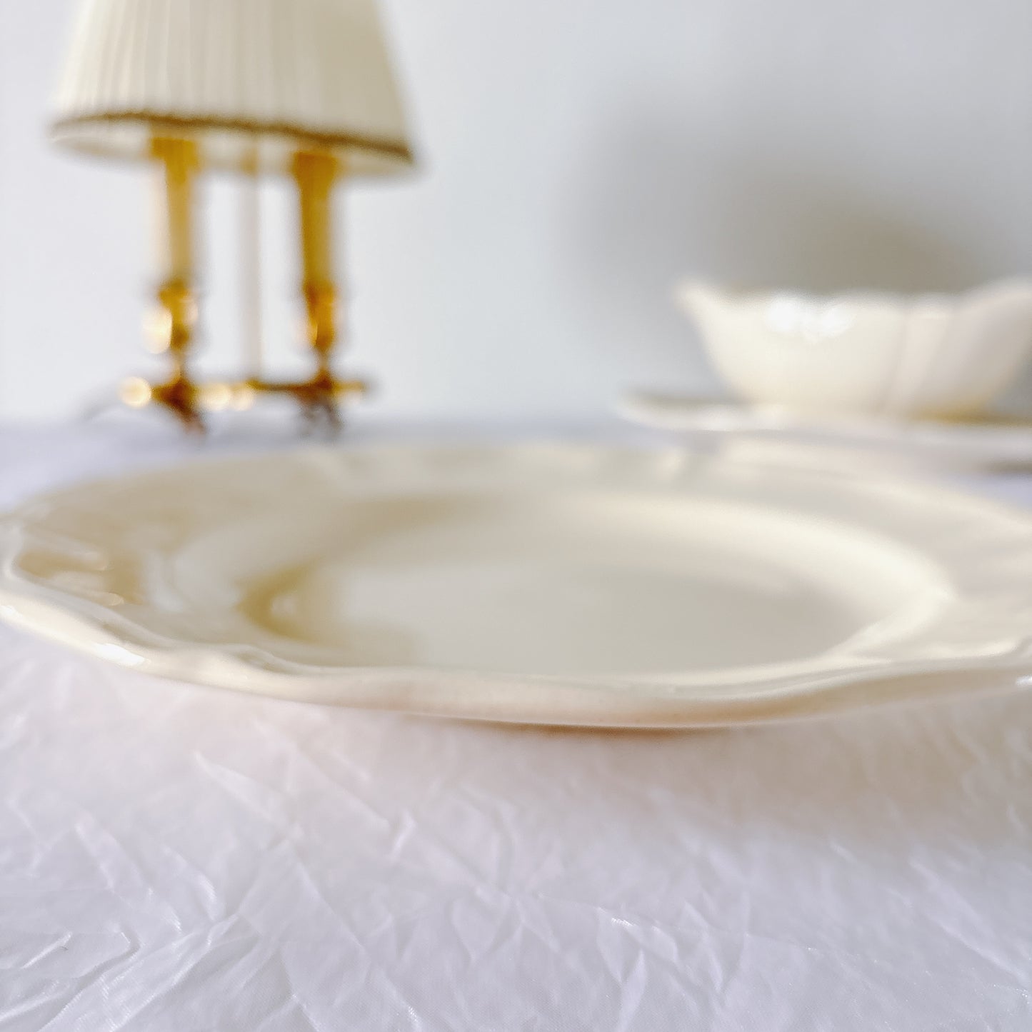 フランス ディゴワン＆サルグミンヌ 花リム ディナープレート 平皿 フランスアンティーク食器 ブロカント　蚤の市