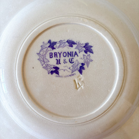 フランスアンティーク U&Cサルグミンヌ Bryonia ブリオニア スーププレート　ブロカント　蚤の市