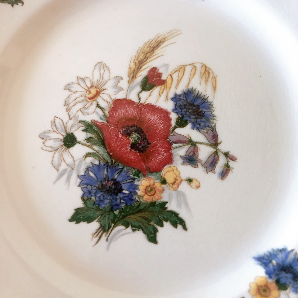 フランス サルグミンヌ sarreguemines アグレスト ディナープレート 23.3㎝  フランスアンティーク食器 フランス蚤の市・ブロカント