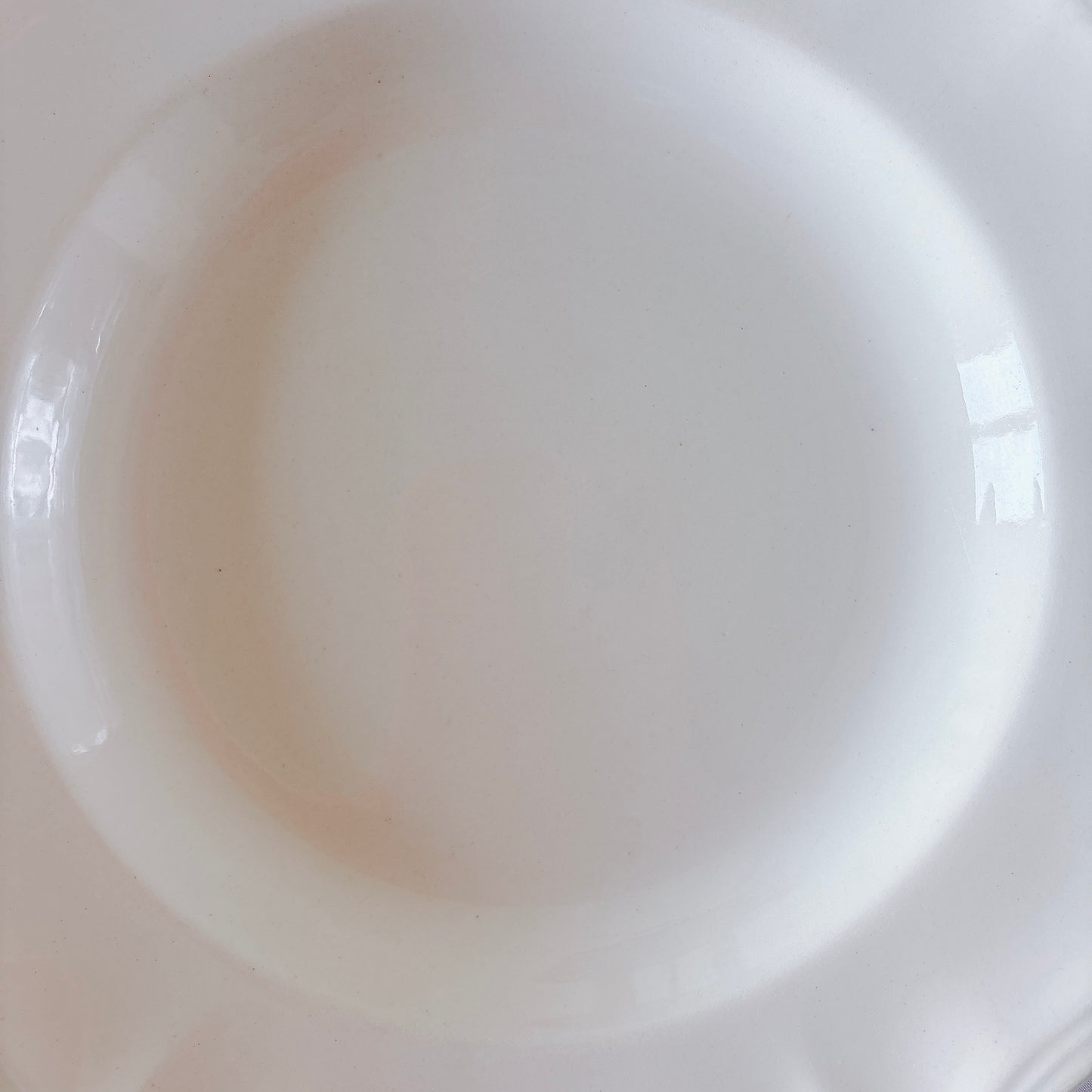 フランス ディゴワン＆サルグミンヌ 花リム スーププレート 深皿 フランスアンティーク食器 ブロカント　蚤の市