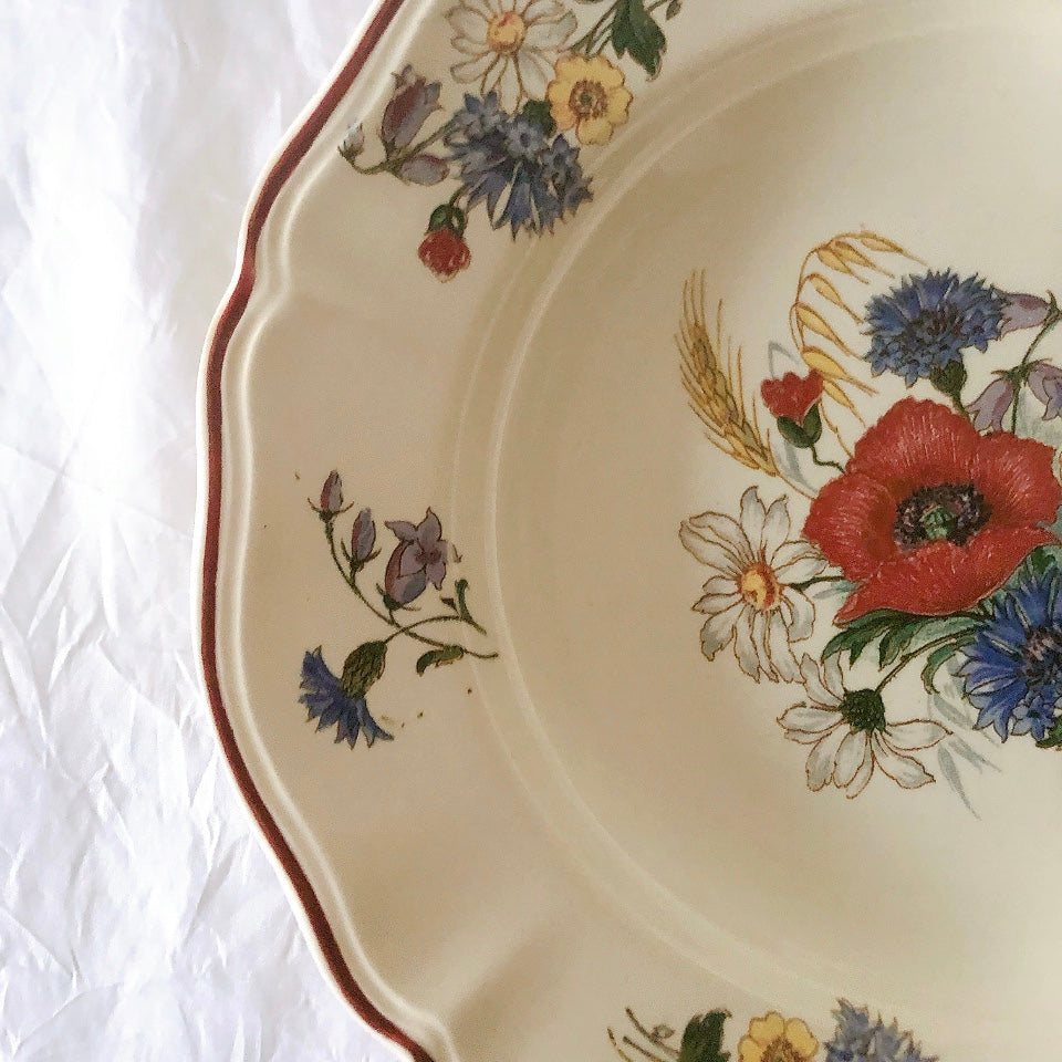 ディゴワンサルグミンヌ Digoin＆sarreguemines アグレスト 深皿 クルーズプレート 23㎝ フランスアンティーク食器 フランス蚤の市・ブロカント