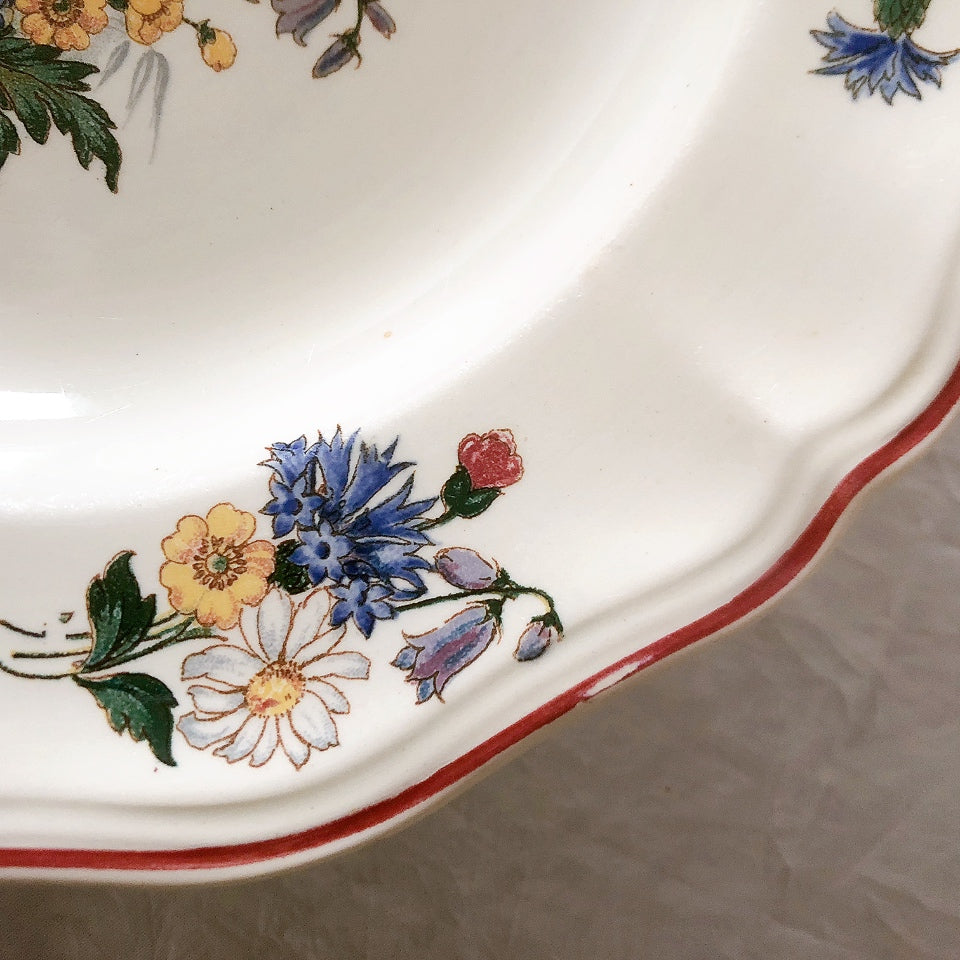 ディゴワンサルグミンヌ Digoin＆sarreguemines アグレスト 深皿 クルーズプレート フランスアンティーク食器 フランス蚤の市・ブロカント