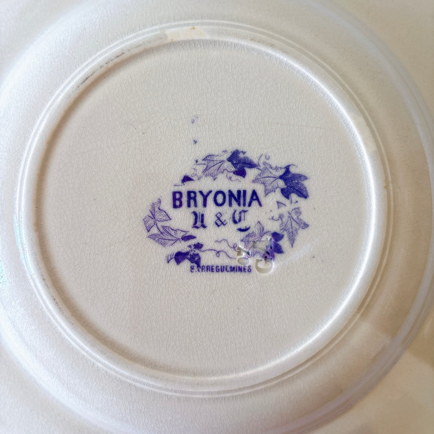 フランスアンティーク U&Cサルグミンヌ Bryonia ブリオニア スーププレート　ブロカント　蚤の市