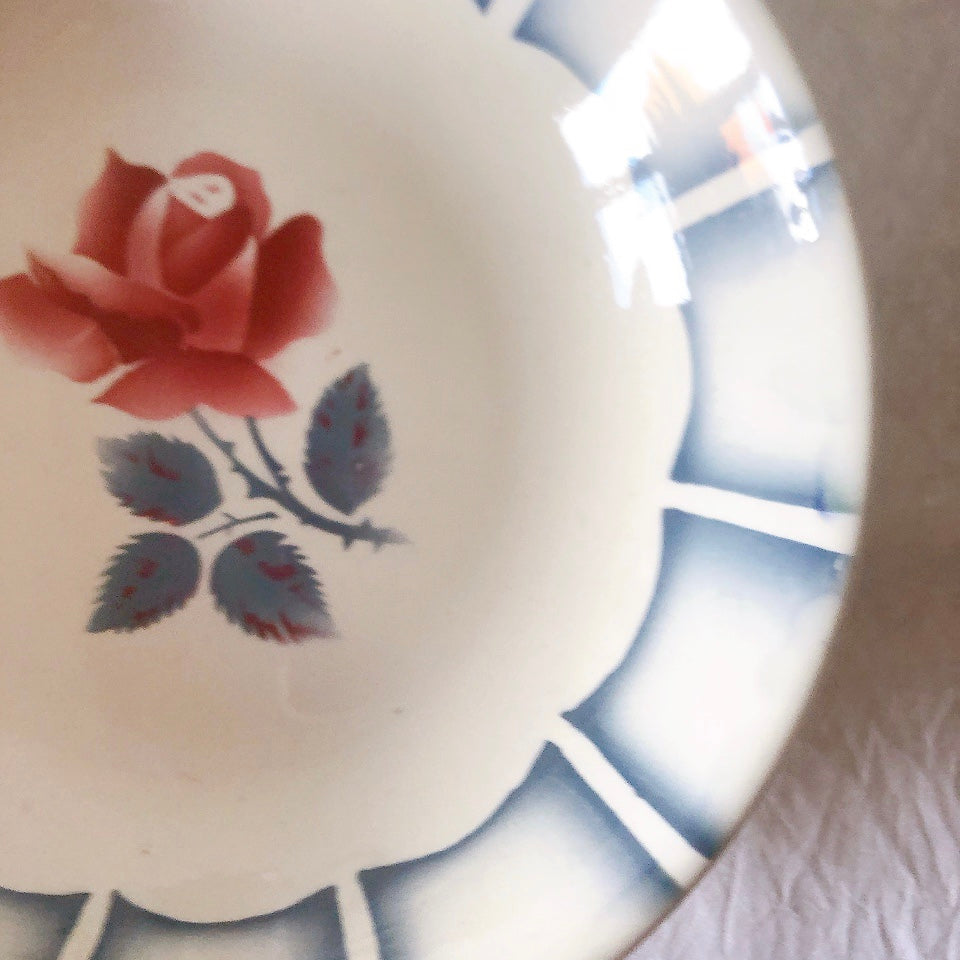 ディゴワンサルグミンヌ 『DAUPHIN 』 花柄キャロットプレート・深皿 フランスアンティーク食器　ブロカントアンティーク　蚤の市