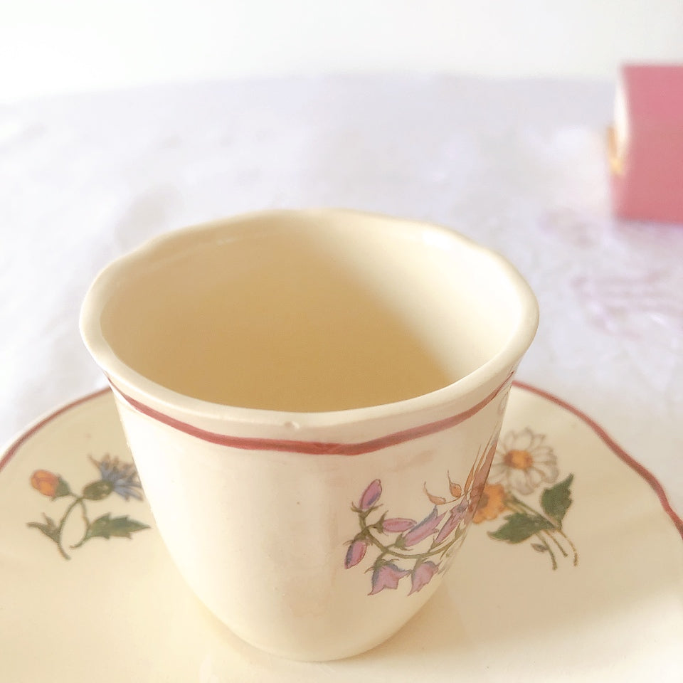 ディゴワンサルグミンヌ Digoin＆sarreguemines アグレスト コーヒーカップ＆ソーサー２客セット フランスアンティーク食器 フランス蚤の市・ブロカント