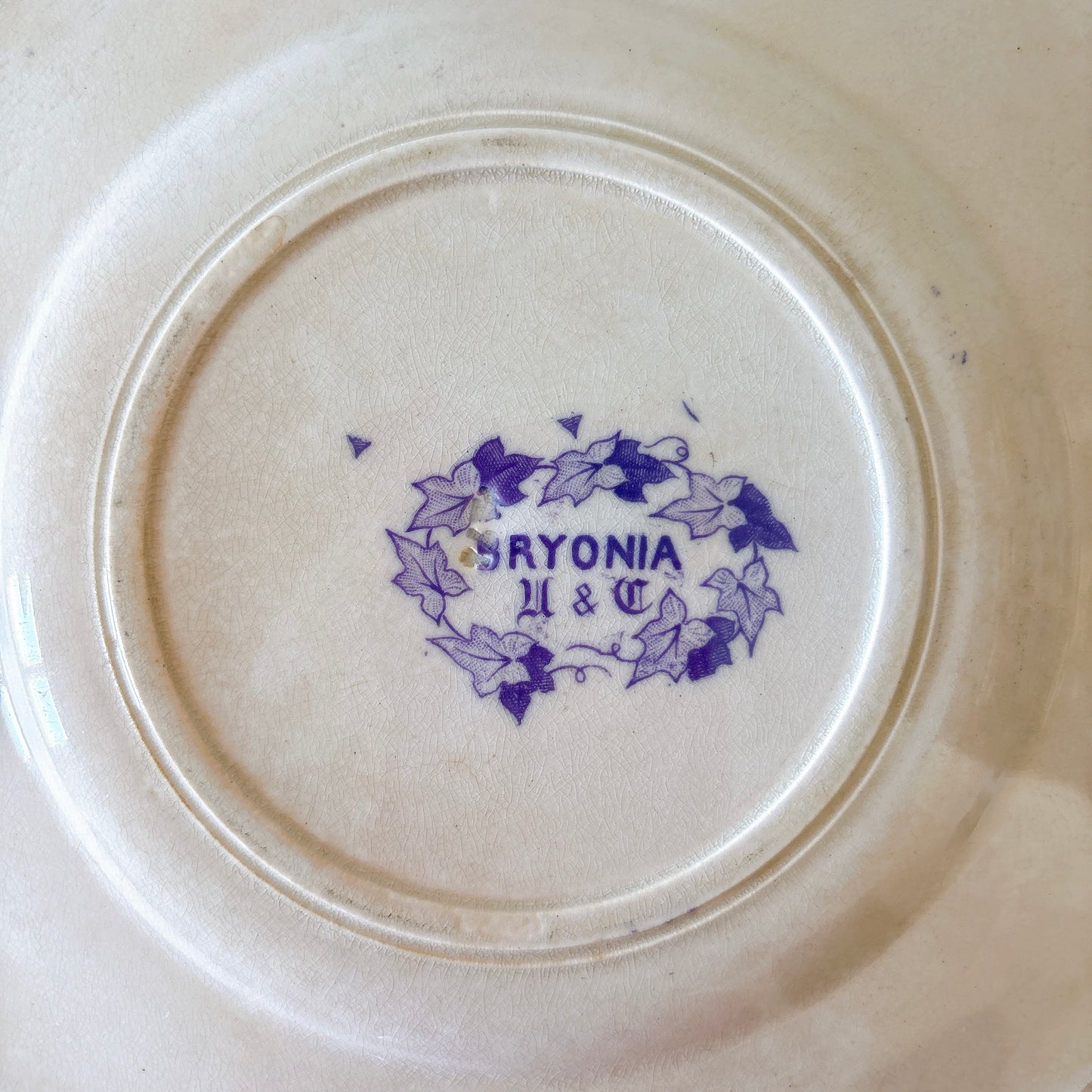 フランスアンティーク U&Cサルグミンヌ Bryonia ブリオニア デザートプレート　ブロカント　蚤の市