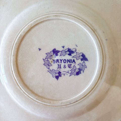 フランスアンティーク U&Cサルグミンヌ Bryonia ブリオニア デザートプレート　ブロカント　蚤の市