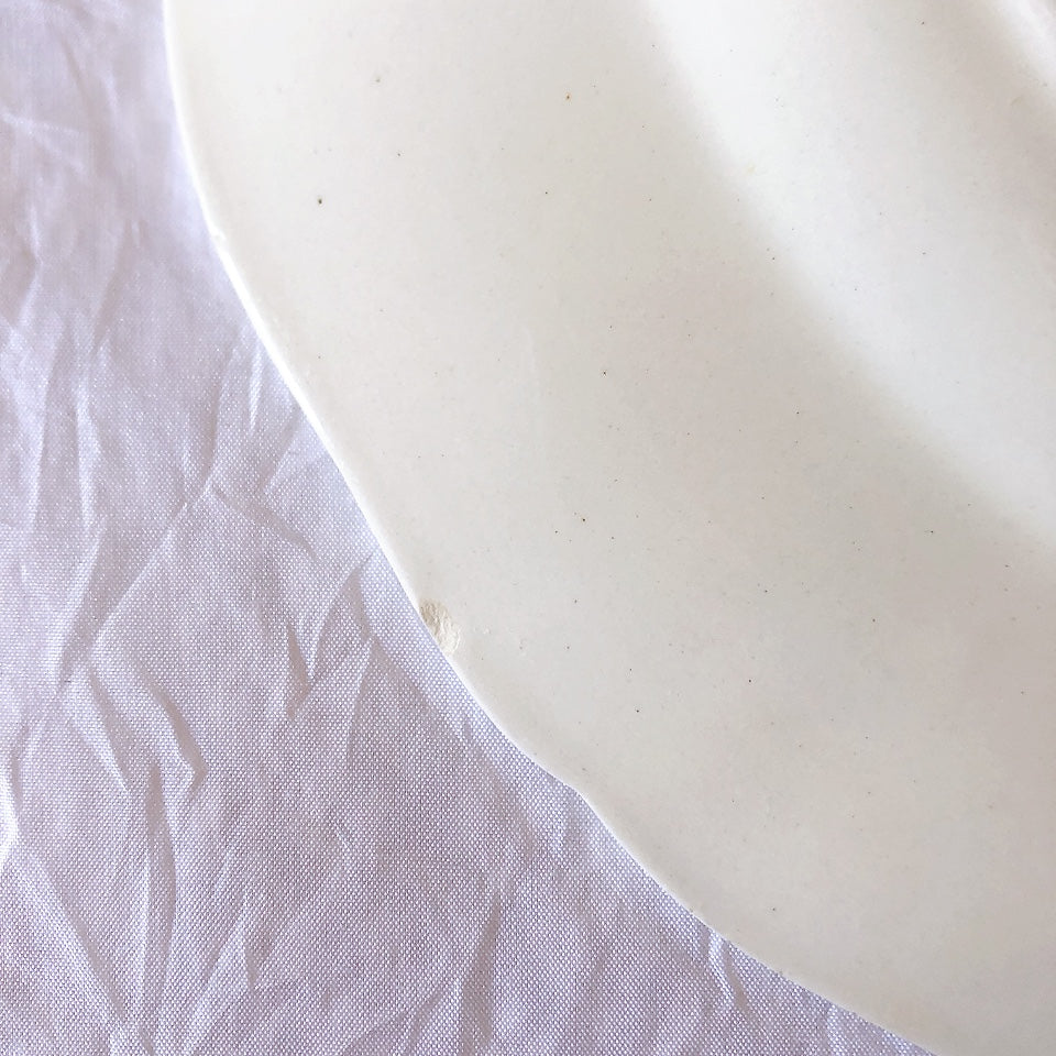 フランス サルグミンヌ sarreguemines アグレスト ディナープレート 23.3㎝  フランスアンティーク食器 フランス蚤の市・ブロカント