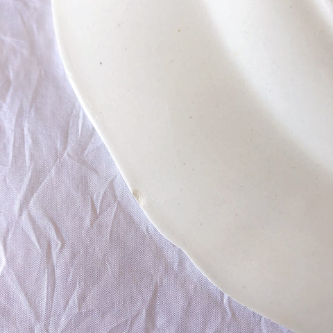 フランス サルグミンヌ sarreguemines アグレスト ディナープレート 23.3㎝  フランスアンティーク食器 フランス蚤の市・ブロカント