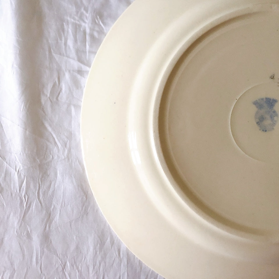 フランスアンティーク　バドンヴィレー　バラ柄ディナープレート　平皿　フランスアンティーク食器 ブロカントアンティーク 蚤の市