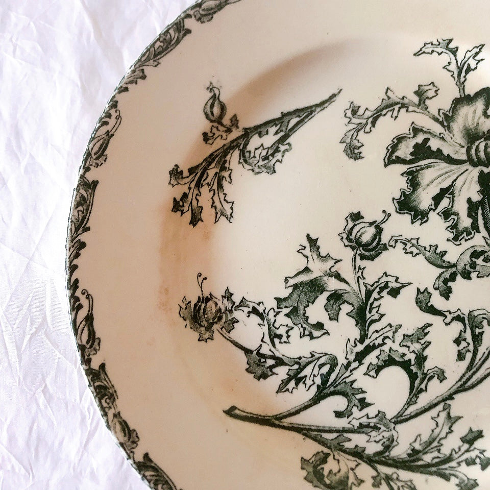 ヴィエイヤーボルドー ディナープレート／平皿 DATURA　ボタニカル模様 フランスアンティーク食器 ブロカントアンティーク　蚤の市