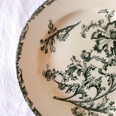 ヴィエイヤーボルドー ディナープレート／平皿 DATURA　ボタニカル模様 フランスアンティーク食器 ブロカントアンティーク　蚤の市