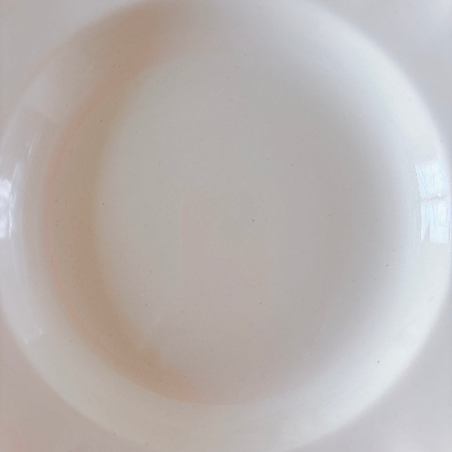 フランス ディゴワン＆サルグミンヌ 花リム スーププレート 深皿 フランスアンティーク食器 ブロカント　蚤の市