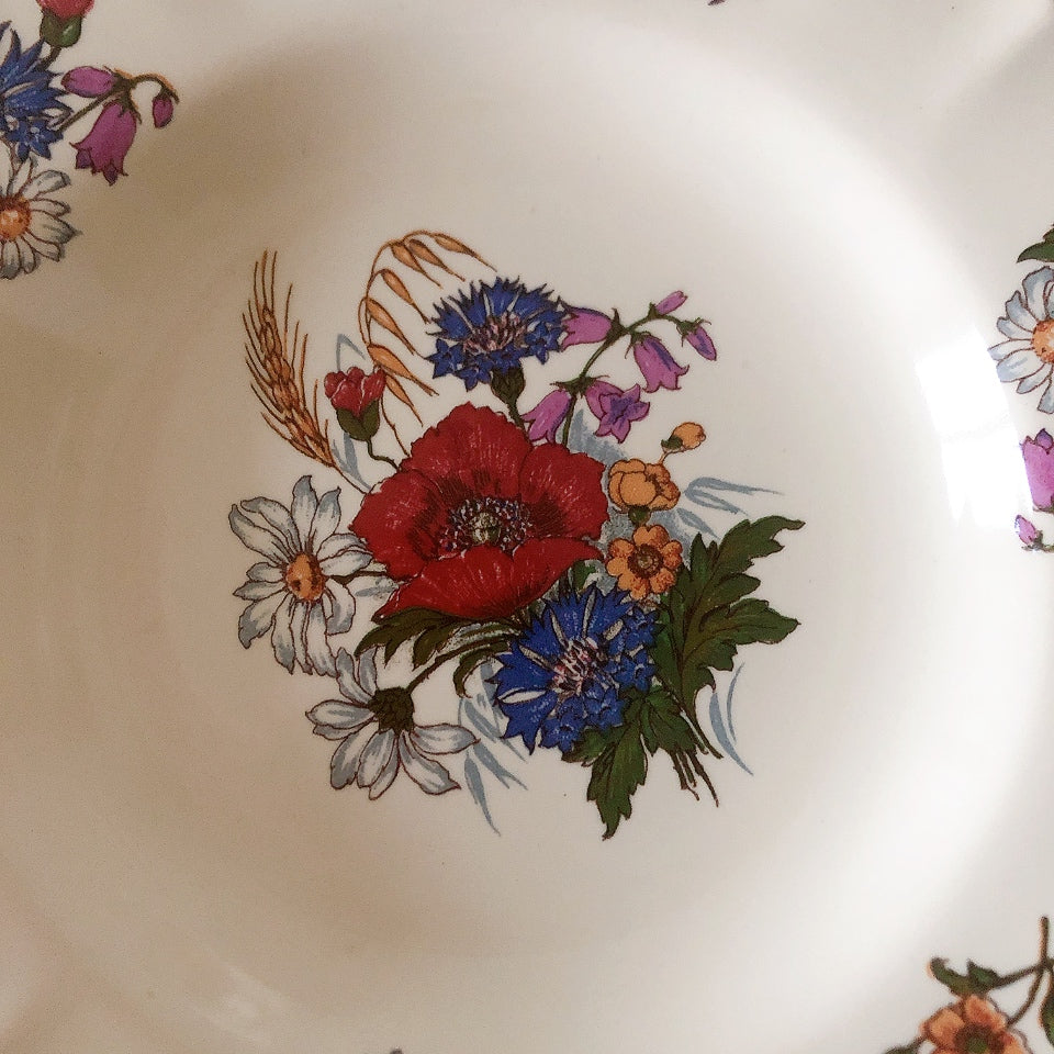 ディゴワンサルグミンヌ Digoin＆sarreguemines アグレスト 深皿 クルーズプレート 23㎝ フランスアンティーク食器 フランス蚤の市・ブロカント