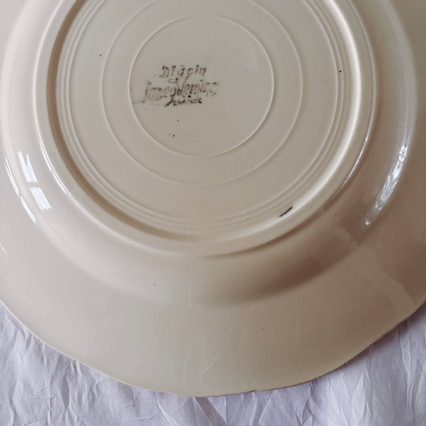 フランス ディゴワン＆サルグミンヌ 花リム ディナープレート 平皿 フランスアンティーク食器 ブロカント　蚤の市