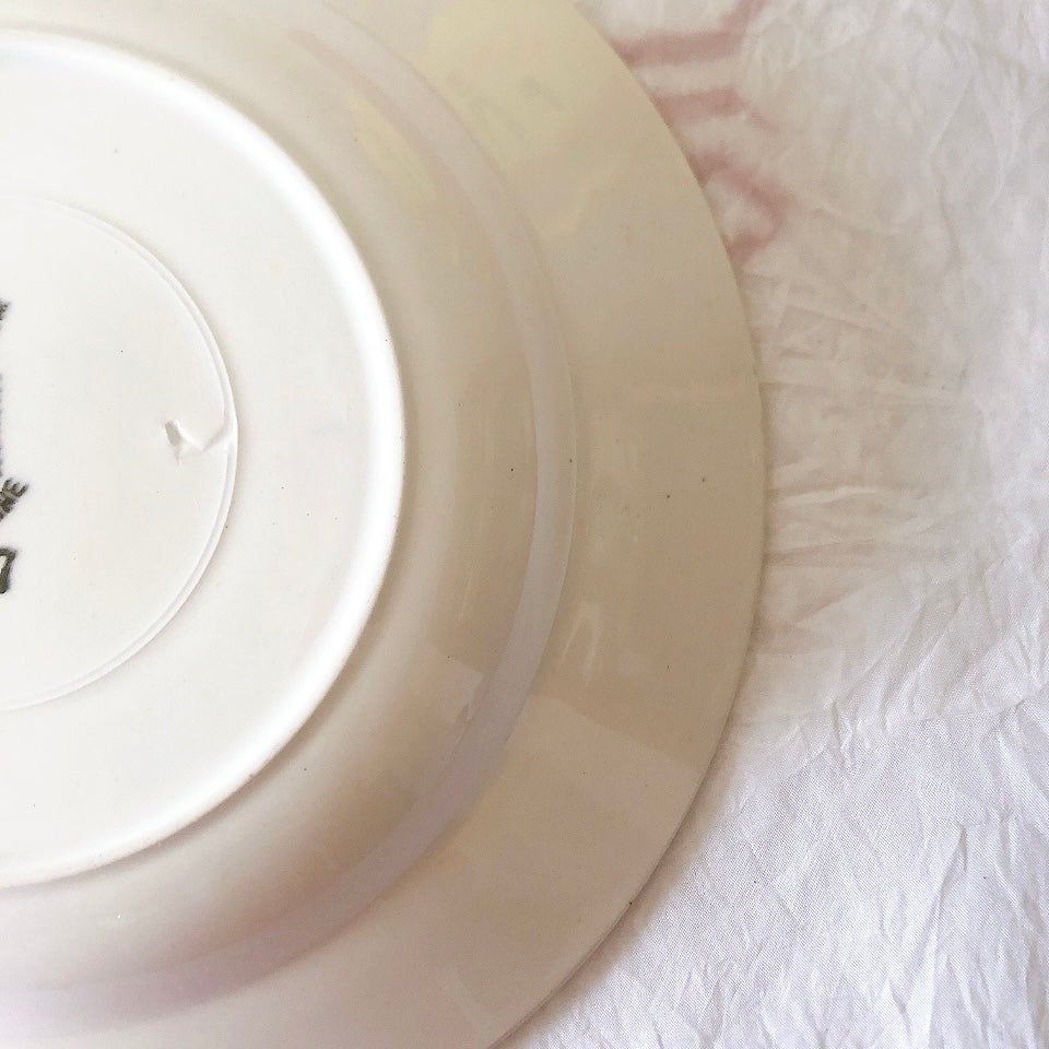 サンタマン　Saint amand バスク柄スーププレート、クルーズプレート フランスアンティーク食器 ブロカント 蚤の市