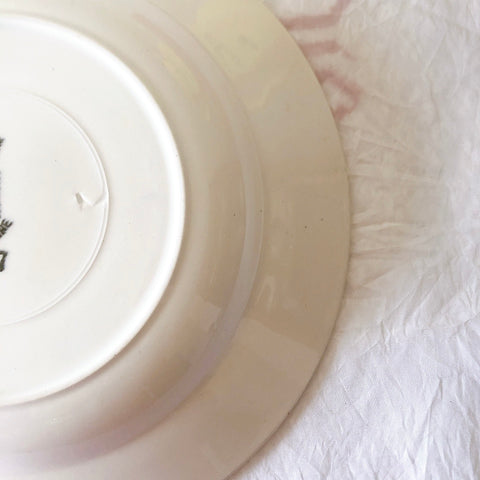 サンタマン　Saint amand バスク柄スーププレート、クルーズプレート フランスアンティーク食器 ブロカント 蚤の市