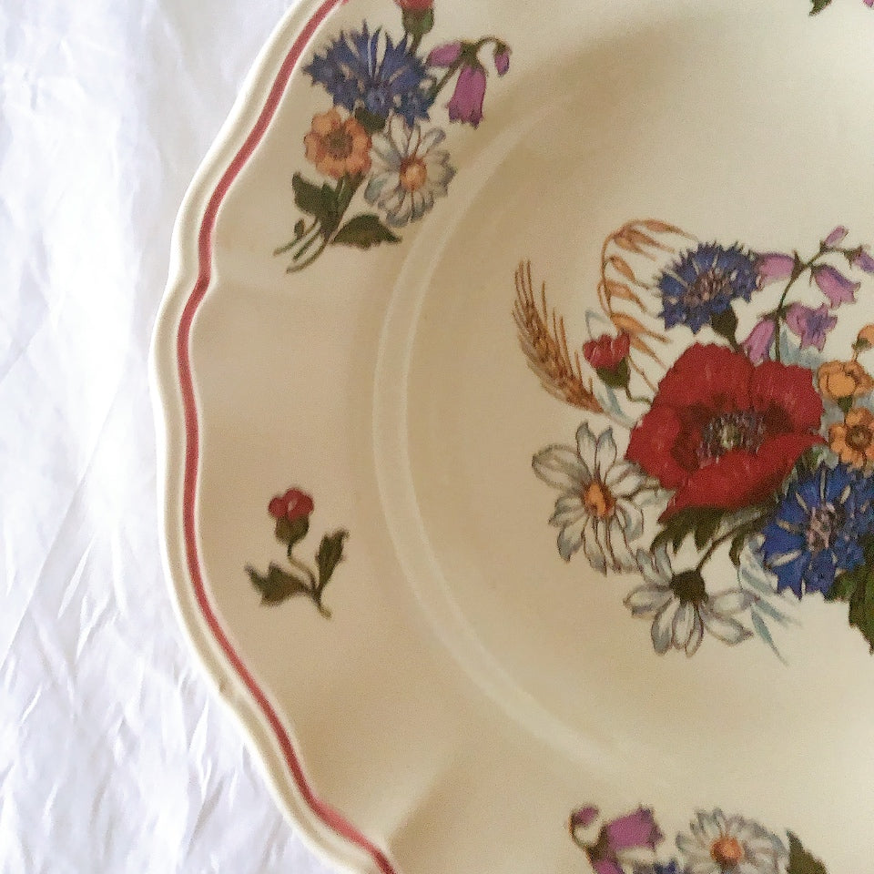 ディゴワンサルグミンヌ Digoin＆sarreguemines アグレスト 深皿 クルーズプレート 23㎝ フランスアンティーク食器 フランス蚤の市・ブロカント