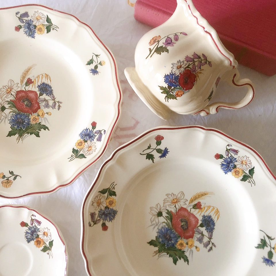 ディゴワンサルグミンヌ Digoin＆sarreguemines アグレスト 深皿 クルーズプレート フランスアンティーク食器 フランス蚤の市・ブロカント