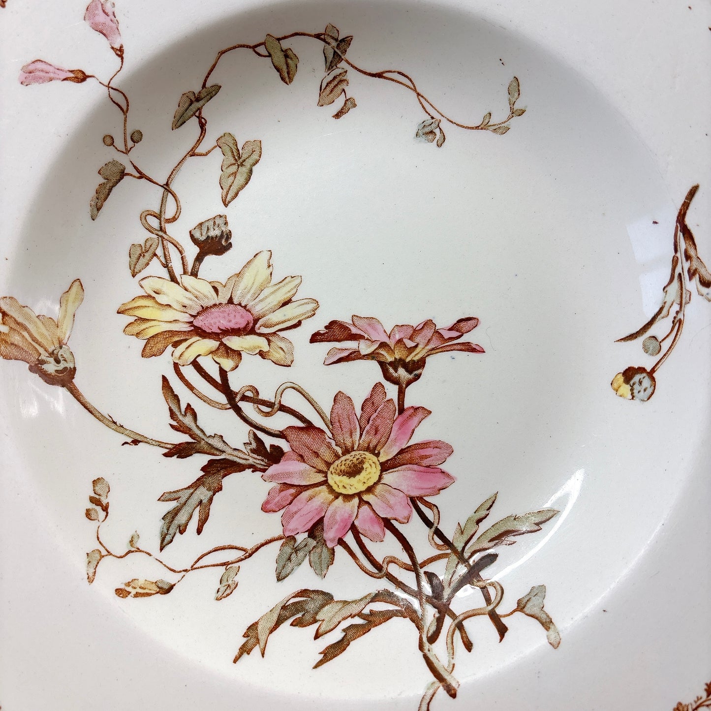 リュネヴィル  マーガレット MARGUERITE スーププレート フランスアンティーク食器　蚤の市　ブロカント