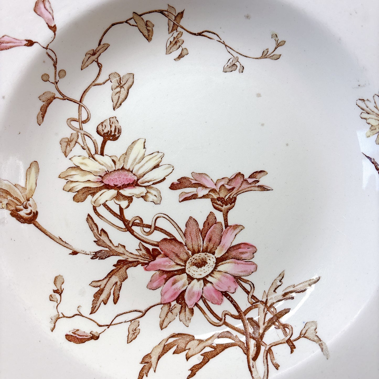 リュネヴィル  マーガレット MARGUERITE スーププレート フランスアンティーク食器　蚤の市　ブロカント