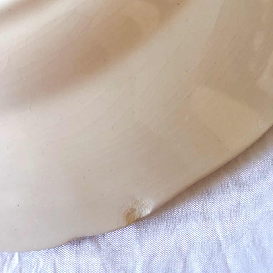 フランス サルグミンヌ sarreguemines アグレスト ディナープレート 23.3㎝  フランスアンティーク食器 フランス蚤の市・ブロカント