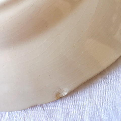 フランス サルグミンヌ sarreguemines アグレスト ディナープレート 23.3㎝  フランスアンティーク食器 フランス蚤の市・ブロカント