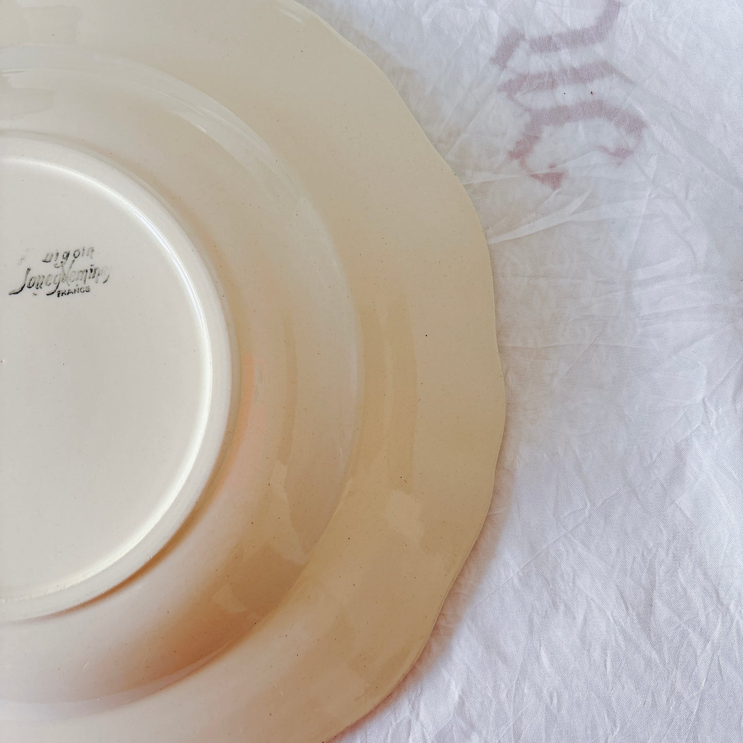 フランス ディゴワン＆サルグミンヌ 花リム スーププレート 深皿 フランスアンティーク食器 ブロカント　蚤の市