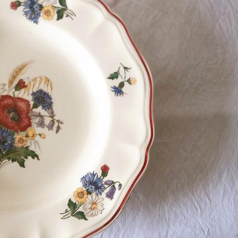 ディゴワンサルグミンヌ Digoin＆sarreguemines アグレスト 深皿 クルーズプレート フランスアンティーク食器 フランス蚤の市・ブロカント