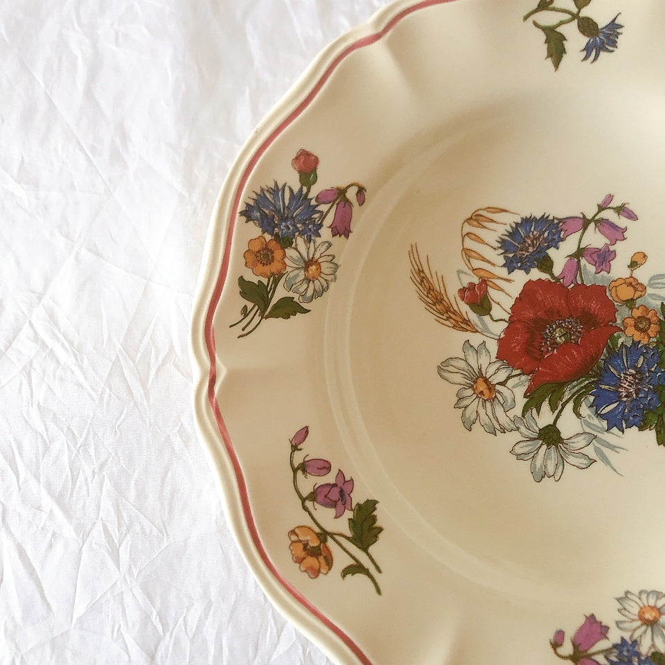 ディゴワンサルグミンヌ Digoin＆sarreguemines アグレスト 深皿 クルーズプレート 23㎝ フランスアンティーク食器 フランス蚤の市・ブロカント