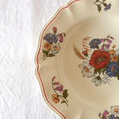 ディゴワンサルグミンヌ Digoin＆sarreguemines アグレスト 深皿 クルーズプレート 23㎝ フランスアンティーク食器 フランス蚤の市・ブロカント