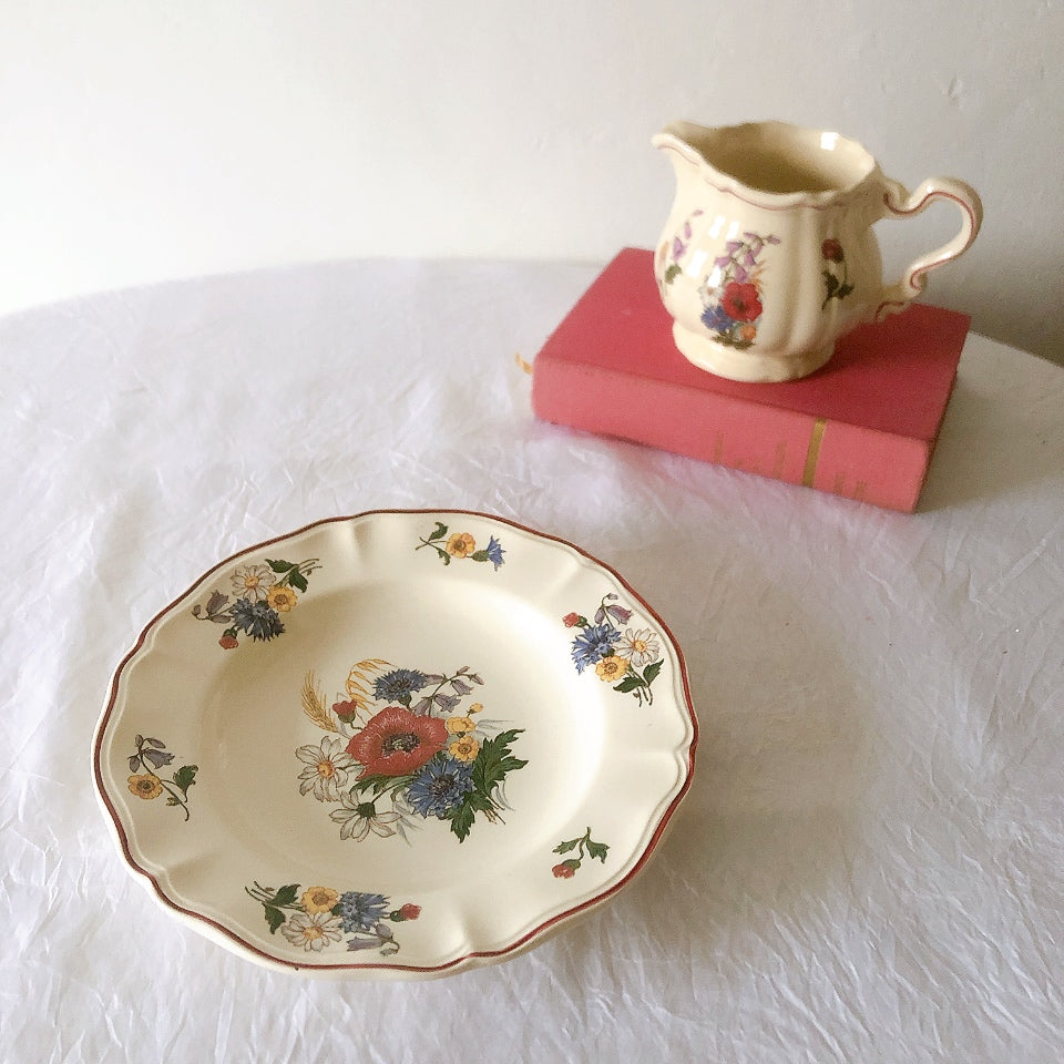 ディゴワンサルグミンヌ Digoin＆sarreguemines アグレスト 深皿 クルーズプレート 23㎝ フランスアンティーク食器 フランス蚤の市・ブロカント