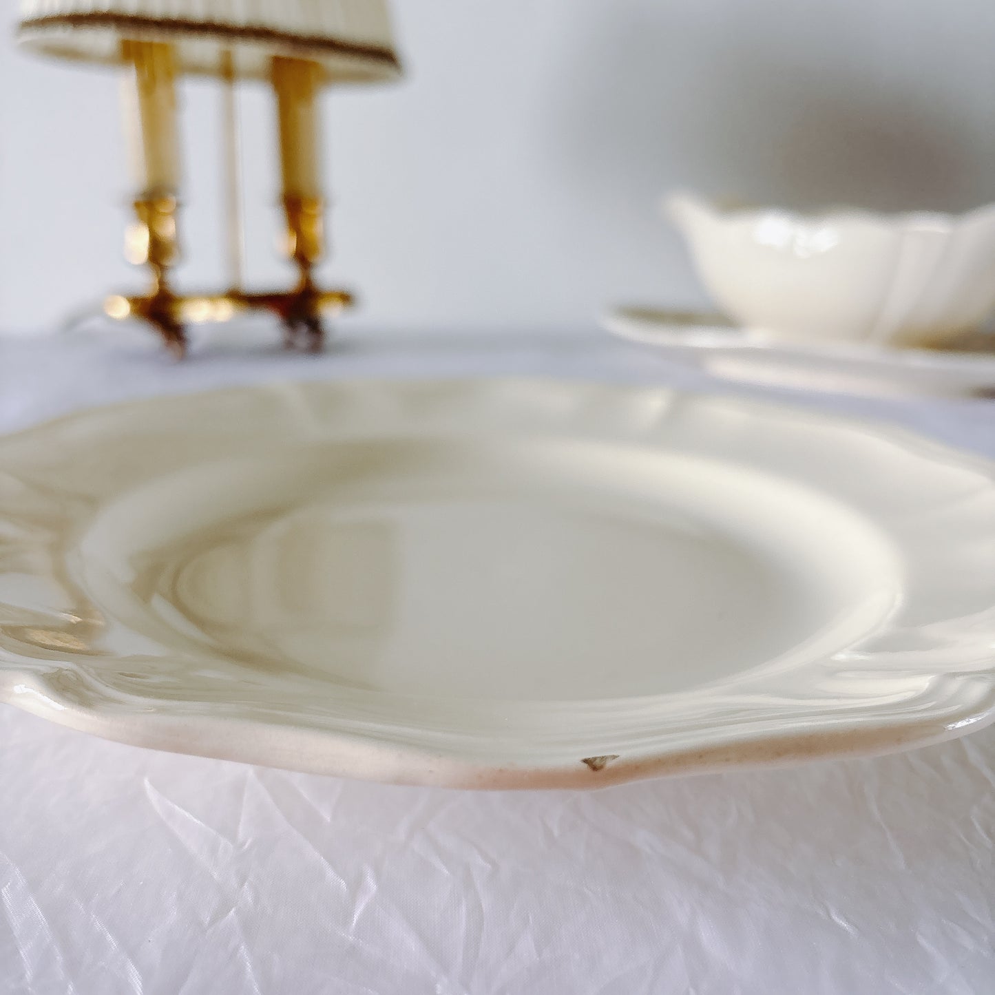 フランス ディゴワン＆サルグミンヌ 花リム ディナープレート 平皿 フランスアンティーク食器 ブロカント　蚤の市