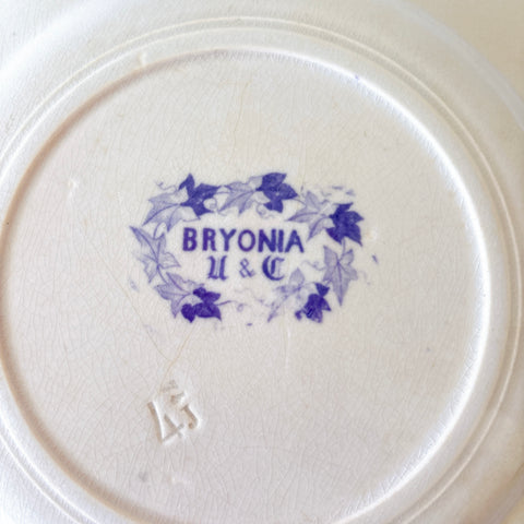 フランスアンティーク U&Cサルグミンヌ Bryonia ブリオニア ディナープレート　ブロカント　蚤の市