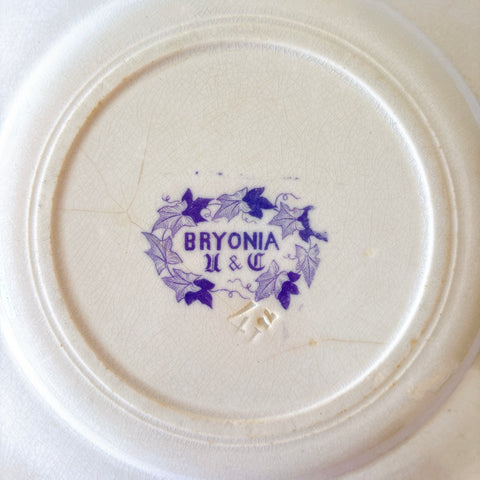 フランスアンティーク U&Cサルグミンヌ Bryonia ブリオニア ディナープレート　ブロカント　蚤の市