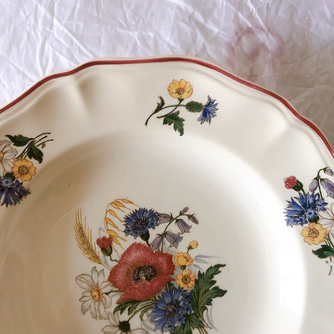 ディゴワンサルグミンヌ Digoin＆sarreguemines アグレスト 深皿 クルーズプレート フランスアンティーク食器 フランス蚤の市・ブロカント