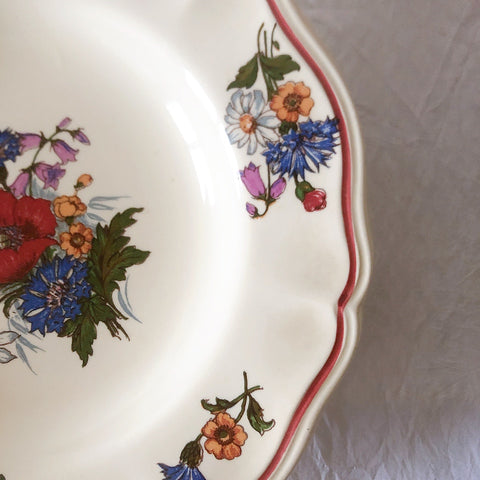 ディゴワンサルグミンヌ Digoin＆sarreguemines アグレスト 深皿 クルーズプレート 23㎝ フランスアンティーク食器 フランス蚤の市・ブロカント