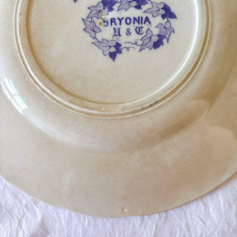 フランスアンティーク U&Cサルグミンヌ Bryonia ブリオニア デザートプレート　ブロカント　蚤の市