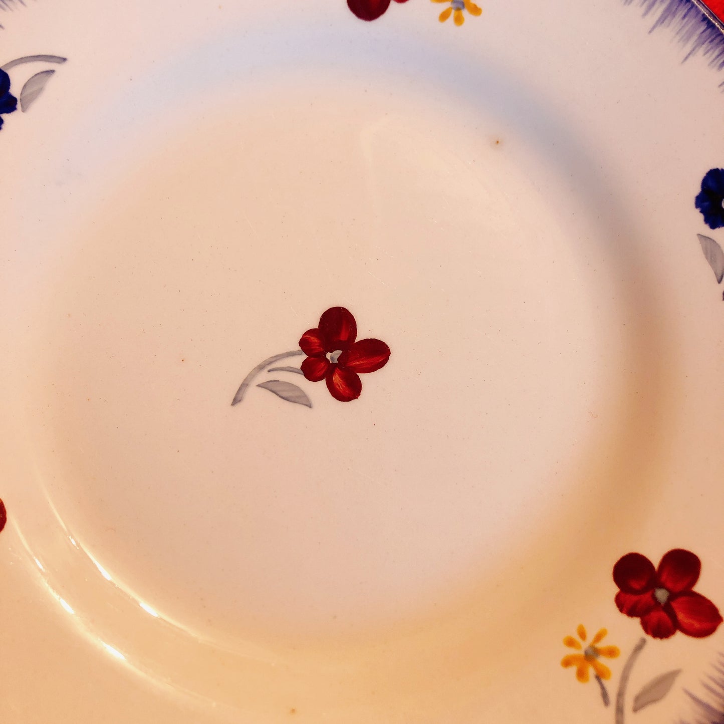 ディゴワンサルグミンヌ 『マリールー』 ディナープレート・平皿 D フランスアンティーク・ヴィンテージ食器　ブロカント　蚤の市