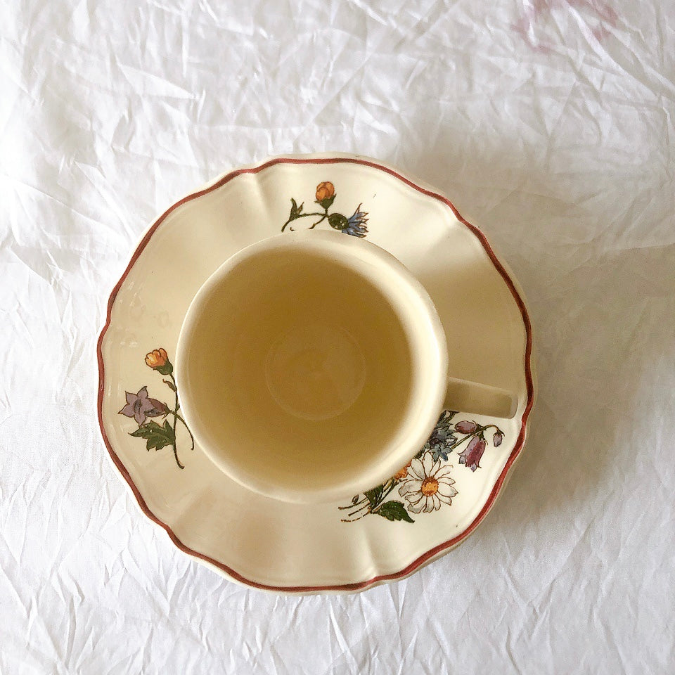 ディゴワンサルグミンヌ Digoin＆sarreguemines アグレスト コーヒーカップ＆ソーサー２客セット フランスアンティーク食器 フランス蚤の市・ブロカント