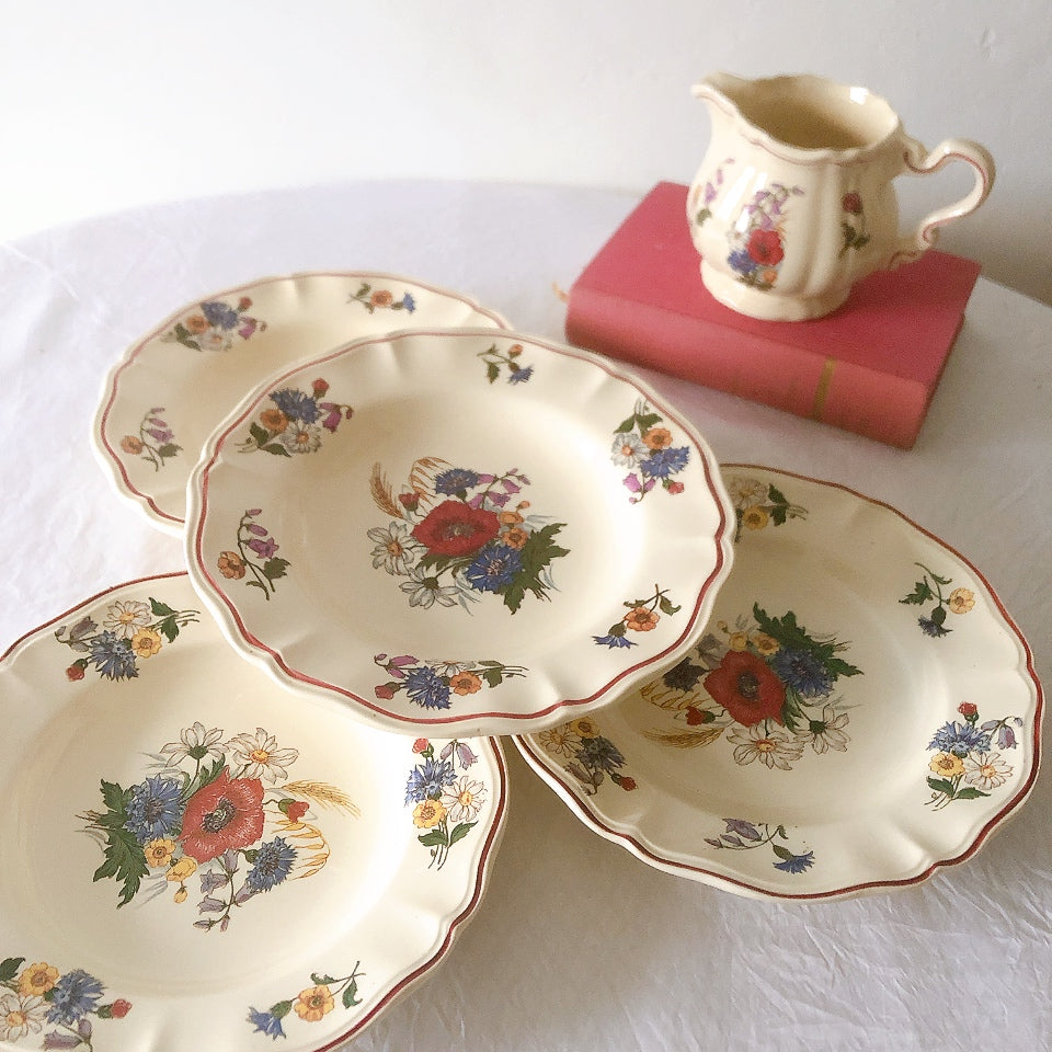 ディゴワンサルグミンヌ Digoin＆sarreguemines アグレスト 深皿 クルーズプレート 23㎝ フランスアンティーク食器 フランス蚤の市・ブロカント