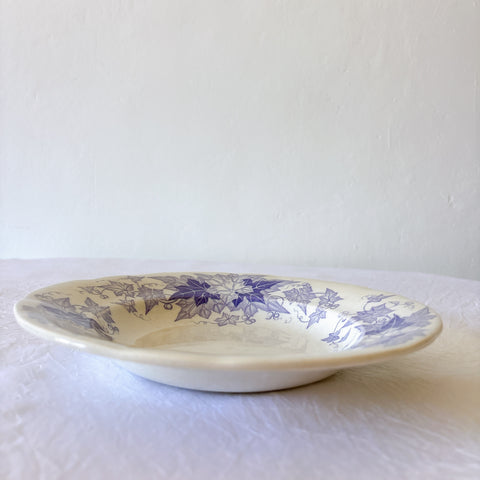 フランスアンティーク U&Cサルグミンヌ Bryonia ブリオニア スーププレート　ブロカント　蚤の市